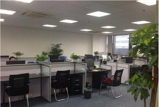 公司注冊與注銷及勞務(wù)相關(guān)資質(zhì)服務(wù)指南